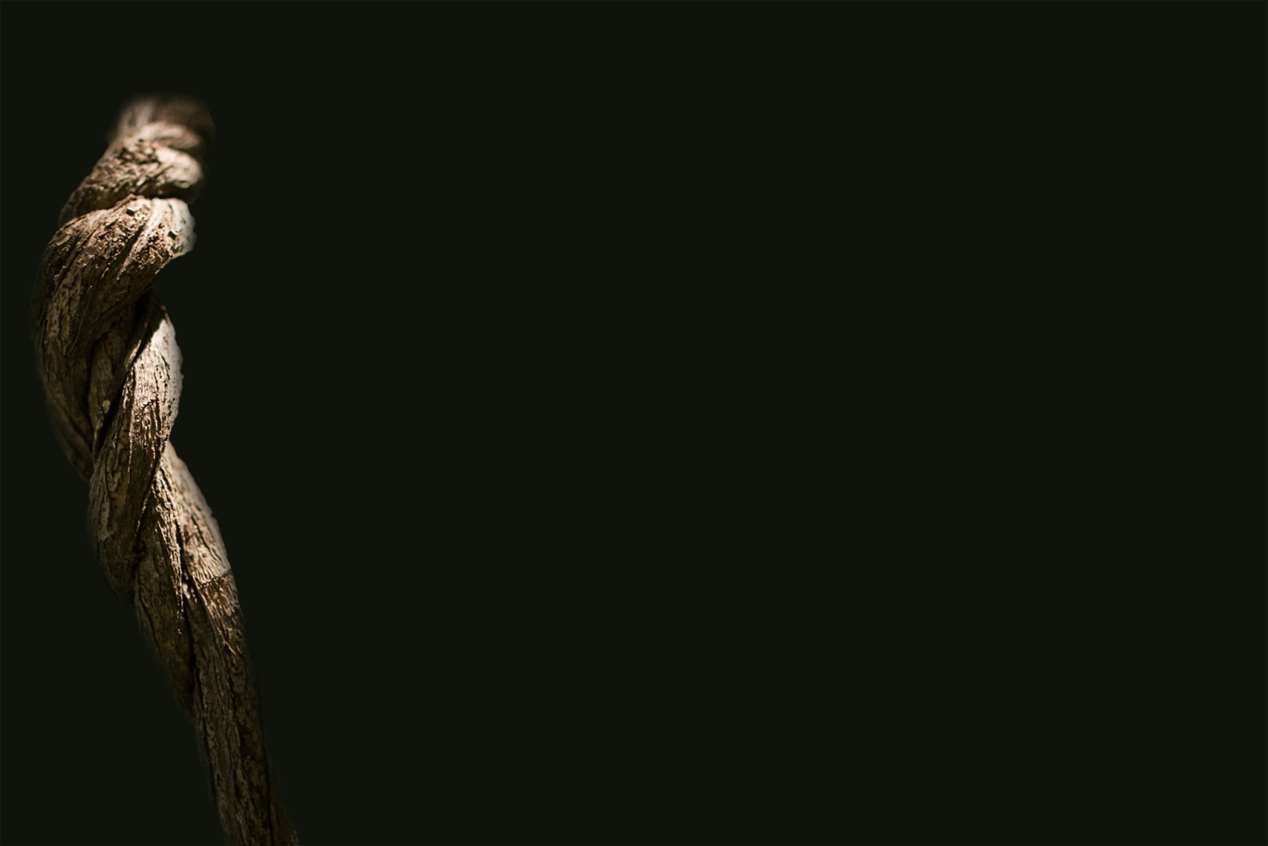 Ayahuasca therapist