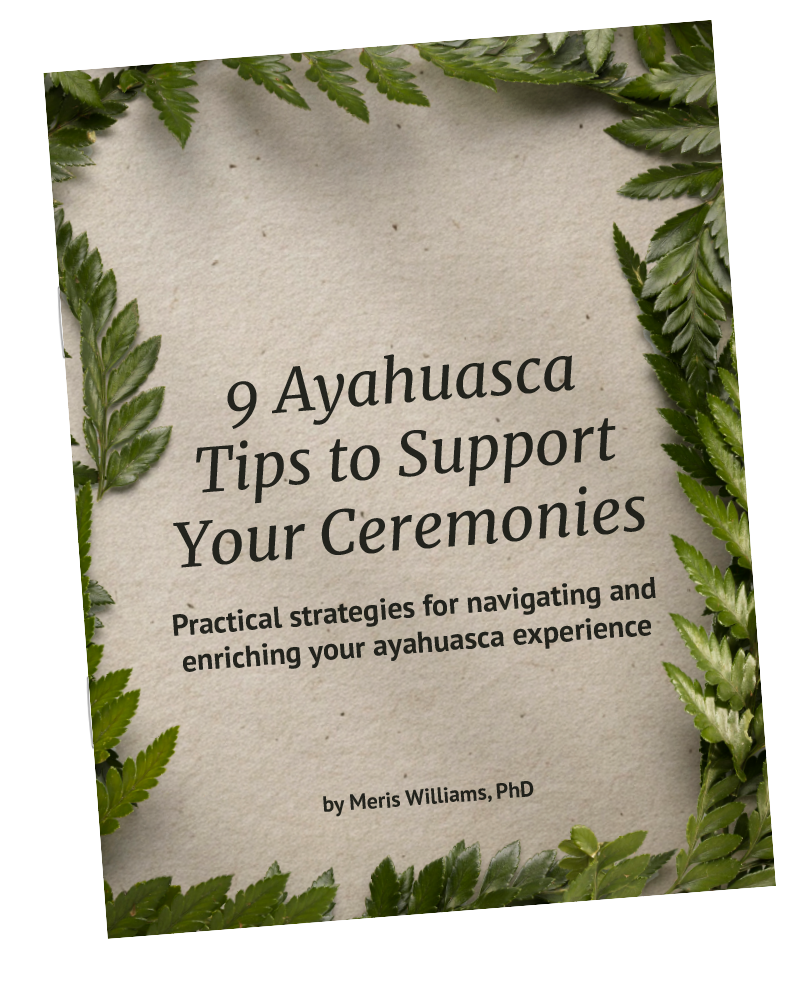 9 Ayahuasca Tips to Support your Ceremonies, ebook by Meris Williams, PhD