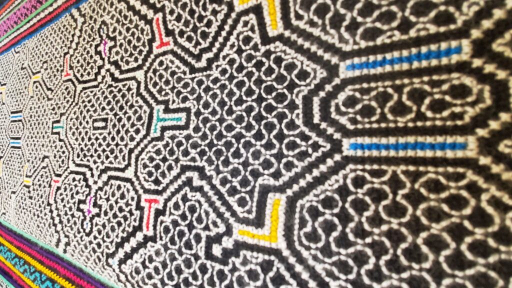 A photo of a textile by Shipibo artist Luis Esteban Ochovano, which depicts the kano (energy) of a plant as revealed under the influence of ayahuasca. Shipibo ayahuasca practitioners are often working in a visionary state to diagnose and heal ancestral trauma, with the plants they have dieted acting as informants.